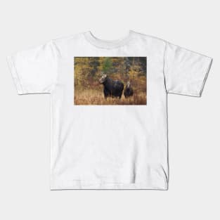 Moose - Algonquin Park, Canada Kids T-Shirt